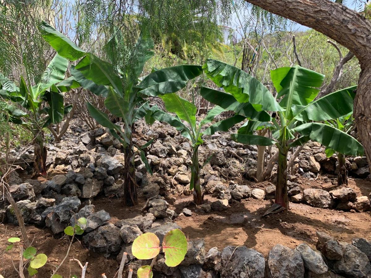 Pajar - Finca Tabaiba By Tor 伊科德·德·洛斯·维诺斯 外观 照片